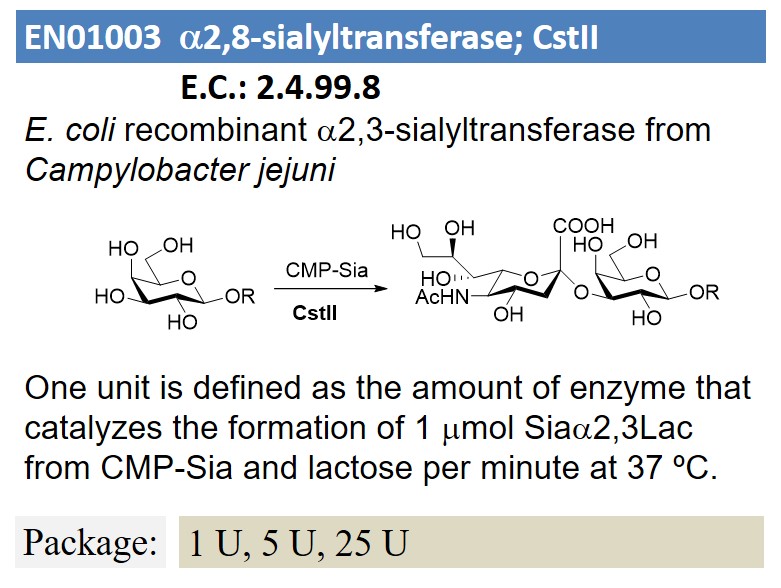 a2,8-sialyltransferase; CstII