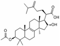 Pachymic acid