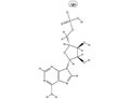 POLYADENYLIC ACID (5') POTASSIUM SALT