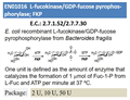 L-fucokinase/GDP-fucose pyrophos-phorylase; FKP