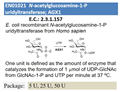 N-acetylglucosamine-1-P uridyltransferase; AGX1