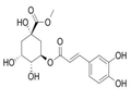 3-O-caffeoylquinic acid methyl ester pictures