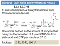 CMP-sialic acid synthetase; NmCSS