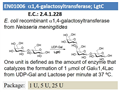 a1,4-galactosyltransferase; LgtC