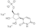 Uridine 5'-Monophosphate Disodium Salt Hydrate