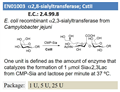 a2,8-sialyltransferase; CstII