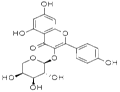 Kaempferol 3-O-arabinoside