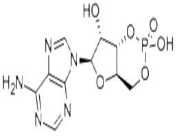 Cyclic AMP