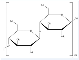 Drug Polymer Impurity