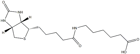 6-Biotinamidohexanoic Acid