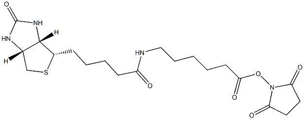 N-Succinimidyl 6-biotinamidohexanoate