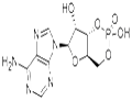 Cyclic AMP