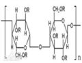 Hydroxypropyl Methyl Cellulose (HPMC)