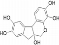 Hematoxylin pictures