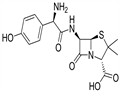 Amoxicillin