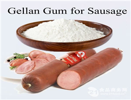 Gellan Gum