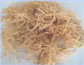 semi refined Kappa carrageenan with particle size 120 mesh for E standard