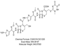 Ceftriaxone Dimer C