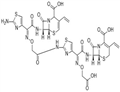 Cefixime Dimer B pictures