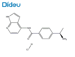 4-[(1R)-1-Aminoethyl]-N-1H-pyrrolo[2,3-b]pyridin-4-ylbenzamide hydrochloride