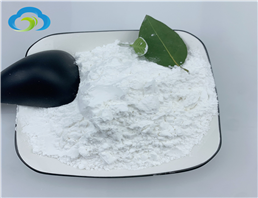 Hydroxypropyl Methyl Cellulose