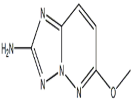 6-Methoxy[1,2,4]triazolo[1,5-b]pyridazin-2-amine