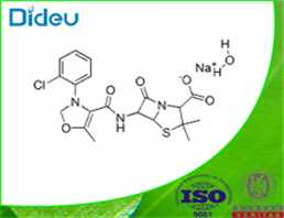Sodium cloxacillin monohydrate USP/EP/BP