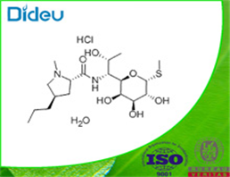 Lincomycin hydrochloride monohydrate USP/EP/BP