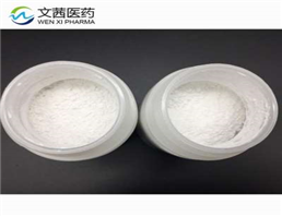 carboxymethylcellulose sodium salt