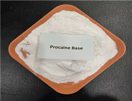 procaine 