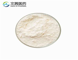Fosamprenavir Calcium Salt