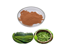Green Tea Extract Powder Tea Polyphenols 98%