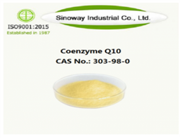 Nanoactive Coenzyme Q10