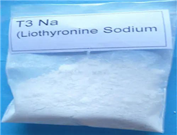 T3(LIOTHYRONINE SODIUM)