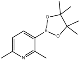 2,6-diMethyl-3-(4,4,5,5-tetraMethyl-1,3,2-dioxaborolan-2-yl)pyridine