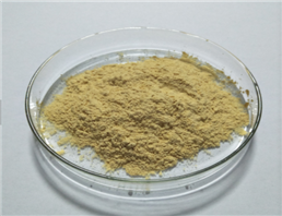 1H-pyrrolo[2,3-c]pyridine