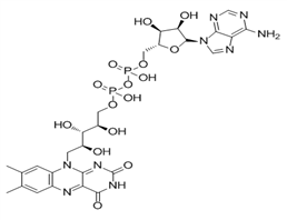 FLAVIN ADENINE DINUCLEOTIDE