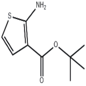 2-Amino-thiophene-3-carboxylic acid tert-butyl ester