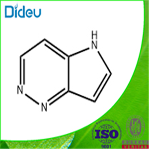 5H-PYRROLO[3,2-C]PYRIDAZINE