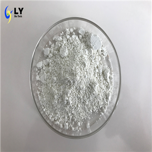 xylazine hydrochloride