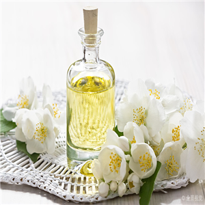 Jasmine oil,Jasmine essential oil