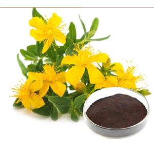 St. John\'s Wort Extract