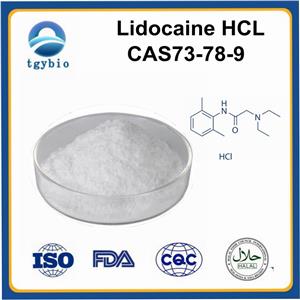 Lidocaine hydrochloride;lidocaine HCL
