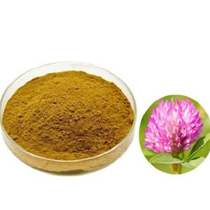 Red Clover Extract
