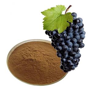 grape skin extract