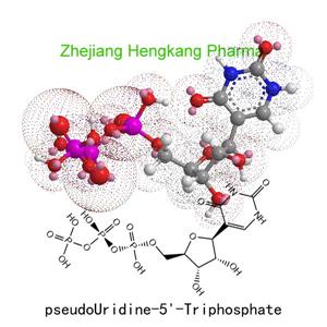 pseudouridine-5'-Triphosphate