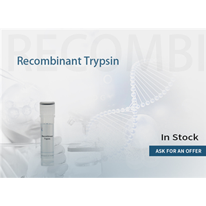 Recombinant Trypsin （lyophilized powder/ solution / digestion）