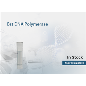 Bst DNA Polymerase(8U/μL)