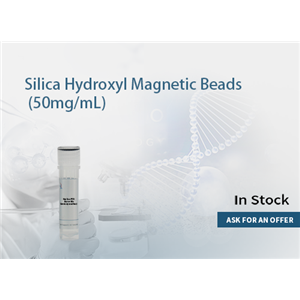 Silica Hydroxyl Magnetic Beads (50mg/mL)