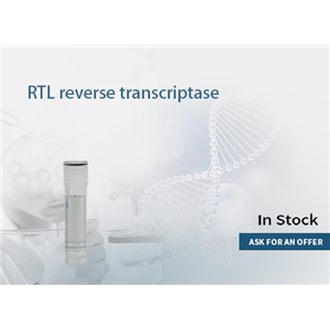 RTL reverse transcriptase （15U/μL）